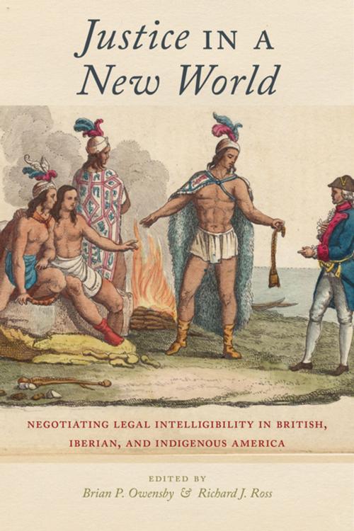 Cover of the book Justice in a New World by , NYU Press