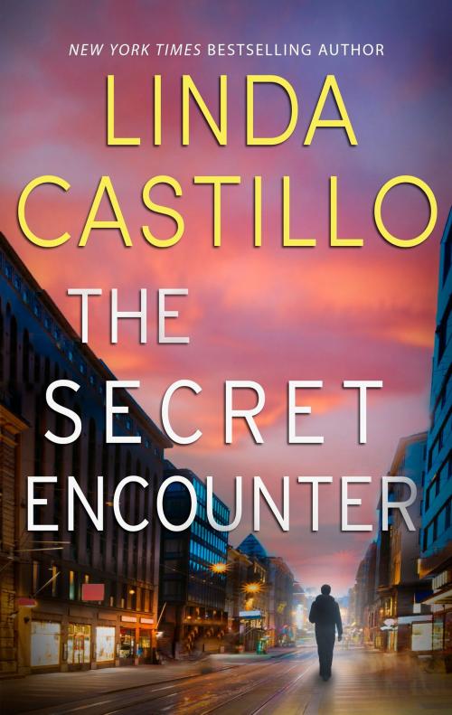 Cover of the book The Secret Encounter by Linda Castillo, Harlequin