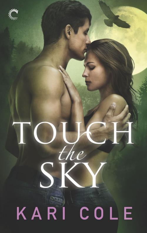 Cover of the book Touch the Sky by Kari Cole, Carina Press