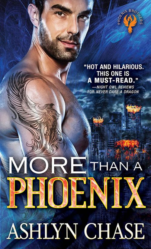 Cover of the book More than a Phoenix by Ashlyn Chase, Sourcebooks