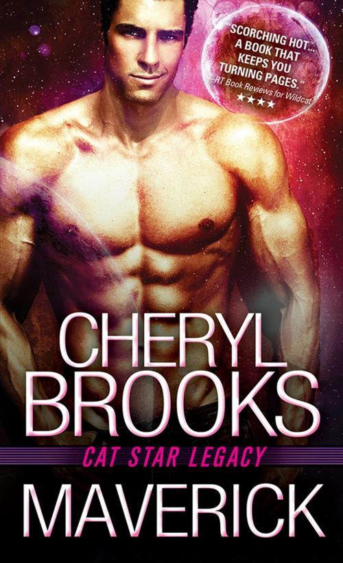 Cover of the book Maverick by Cheryl Brooks, Sourcebooks