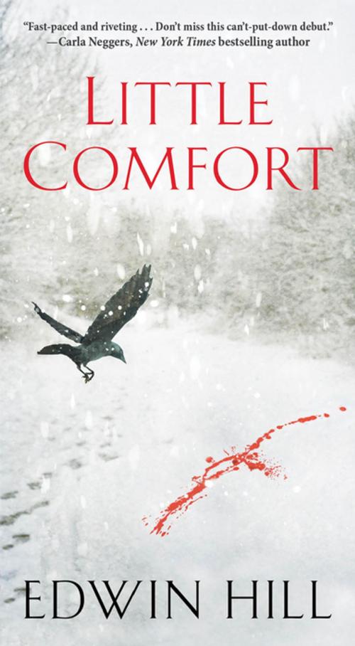 Cover of the book Little Comfort by Edwin Hill, Kensington Books