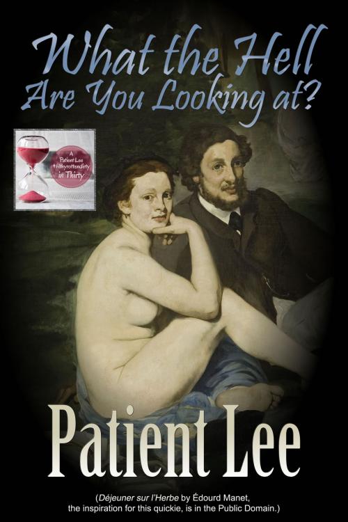 Cover of the book What the Hell Are You Looking at? by Patient Lee, Excessica