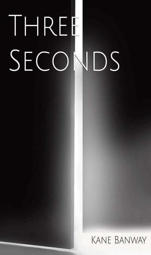 Cover of the book Three seconds by Kane Banway, Babelcube Inc.