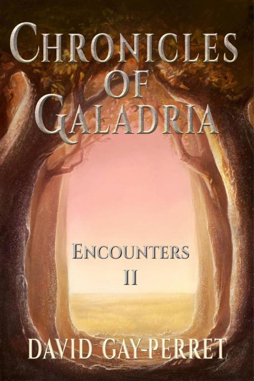 Cover of the book Chronicles of Galadria II - Encounters by David Gay-Perret, Babelcube Inc.