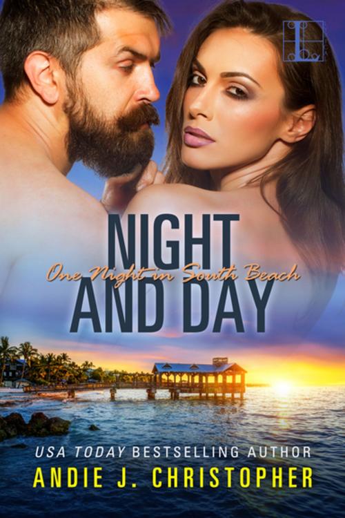 Cover of the book Night and Day by Andie J. Christopher, Lyrical Press