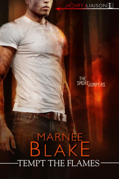 Cover of the book Tempt the Flames by Marnee Blake, Lyrical Press