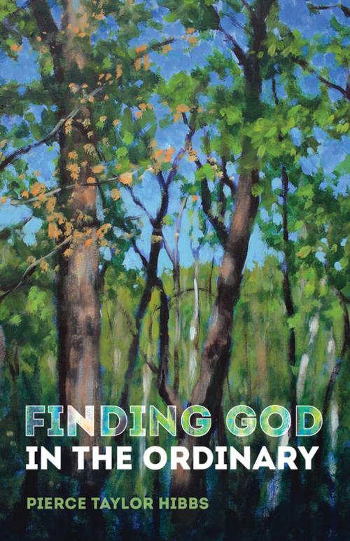 Cover of the book Finding God in the Ordinary by Pierce Taylor Hibbs, Wipf and Stock Publishers