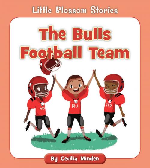 Cover of the book The Bulls Football Team by Cecilia Minden, Cherry Blossom Press