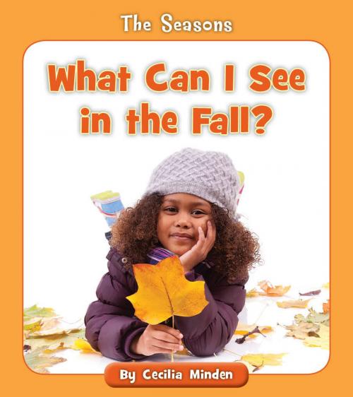 Cover of the book What Can I See in the Fall? by Cecilia Minden, Cherry Blossom Press