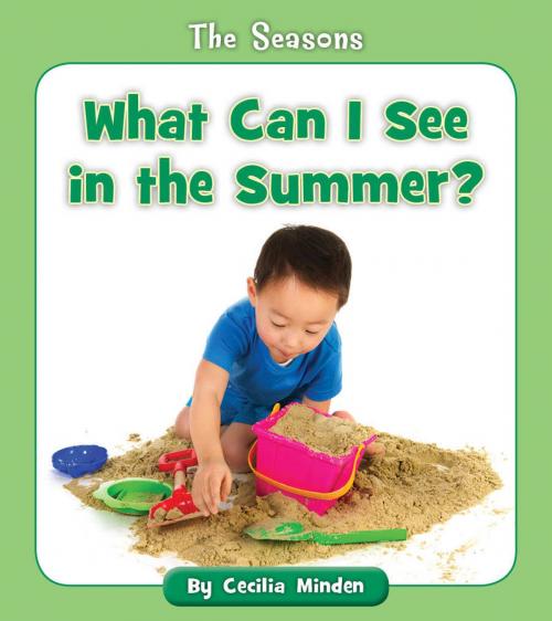 Cover of the book What Can I See in the Summer? by Cecilia Minden, Cherry Blossom Press