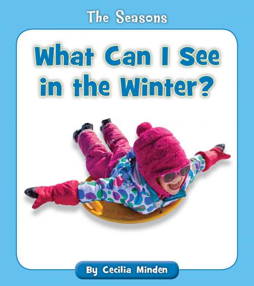 Cover of the book What Can I See in the Winter? by Cecilia Minden, Cherry Blossom Press
