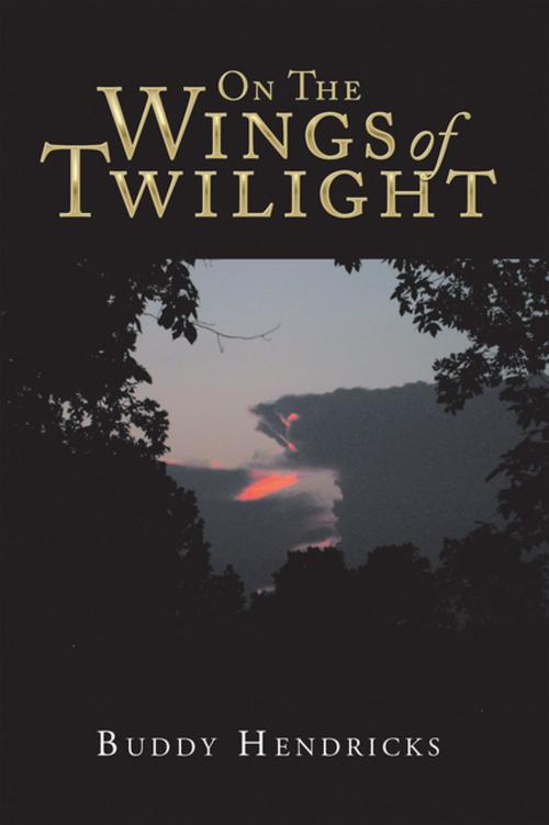 Cover of the book On the Wings of Twilight by Buddy Hendricks, AuthorHouse