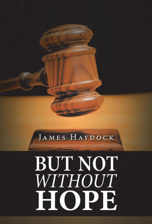 Cover of the book But Not Without Hope by James Haydock, AuthorHouse