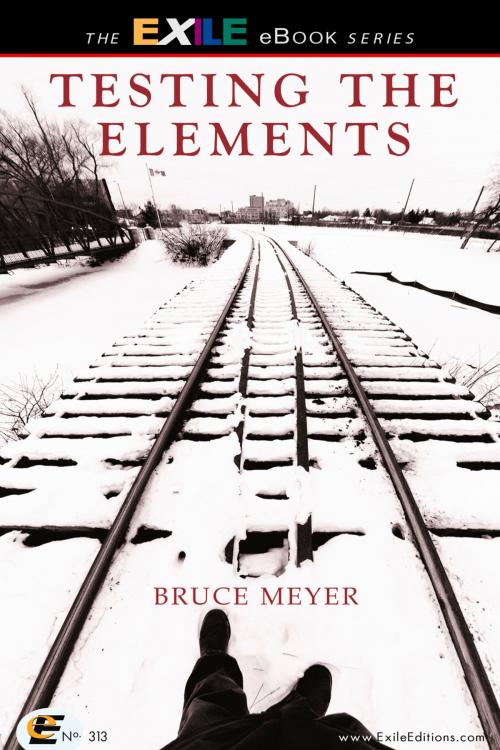 Cover of the book Testing the Elements by Bruce Meyer, Exile Editions