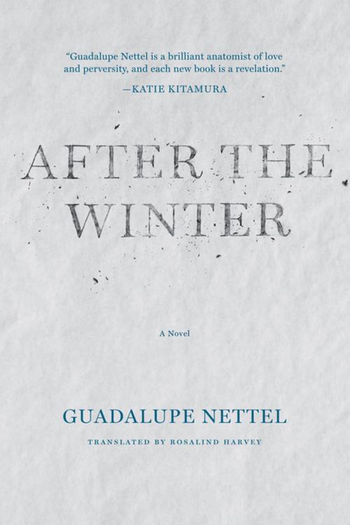 Cover of the book After the Winter by Guadalupe Nettel, Coffee House Press