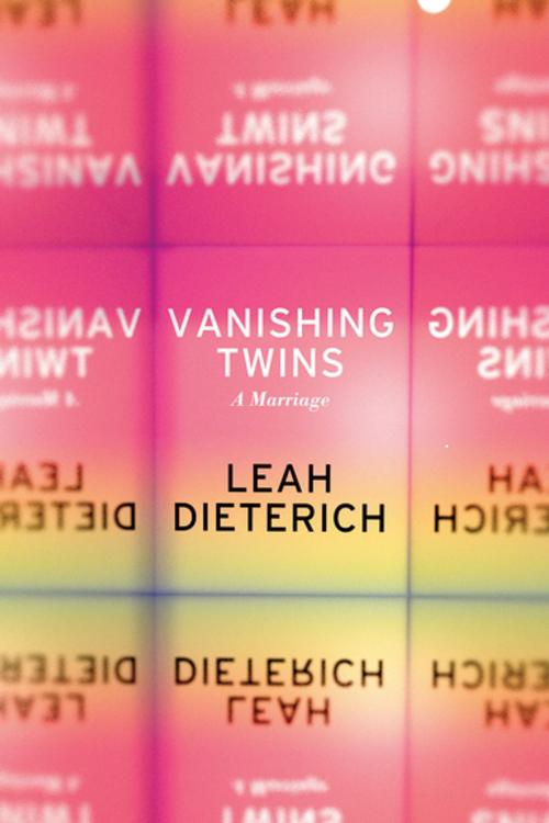 Cover of the book Vanishing Twins by Leah Dieterich, Soft Skull Press