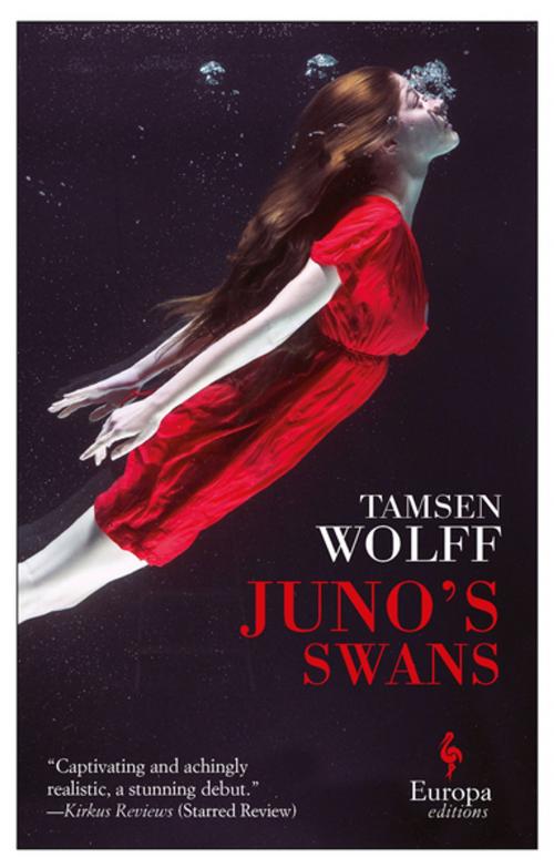 Cover of the book Juno's Swans by Tamsen Wolff, Europa Editions