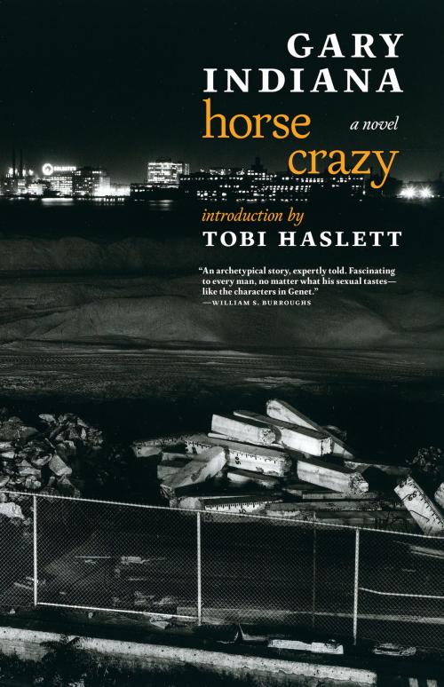 Cover of the book Horse Crazy by Gary Indiana, Seven Stories Press
