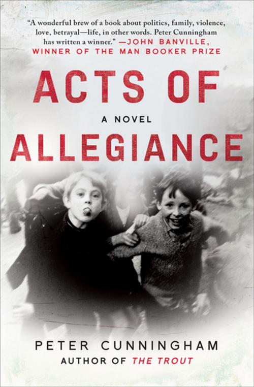 Cover of the book Acts of Allegiance by Peter Cunningham, Skyhorse Publishing