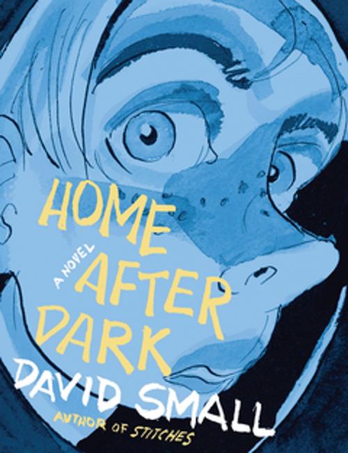 Cover of the book Home After Dark: A Novel by David Small, Liveright
