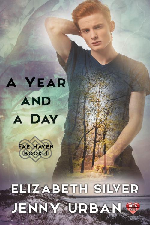 Cover of the book A Year and A Day by Elizabeth Silver, MLR Press