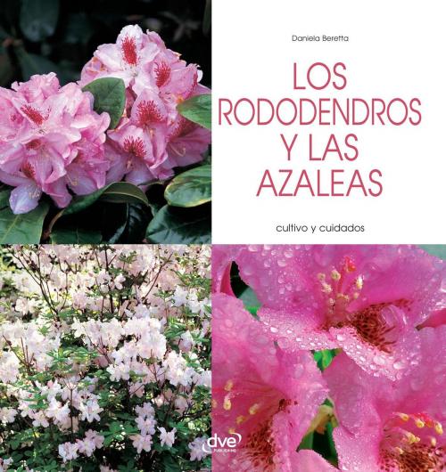 Cover of the book Los rododendros y las azaleas - Cultivo y cuidados by Daniela Beretta, De Vecchi
