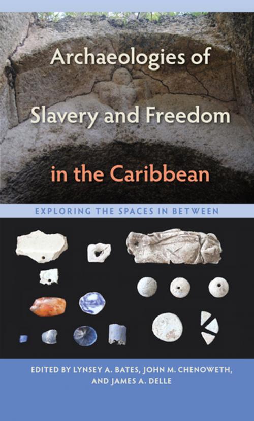 Cover of the book Archaeologies of Slavery and Freedom in the Caribbean by , University of Florida Press