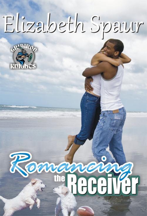 Cover of the book Romancing the Receiver by Elizabeth Spaur, Elizabeth Spaur