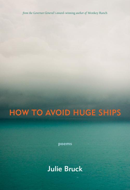 Cover of the book How to Avoid Huge Ships by Julie Bruck, Brick Books
