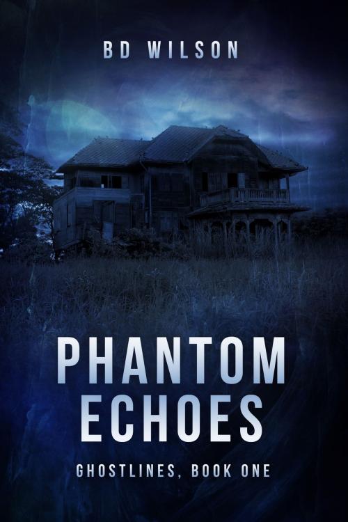 Cover of the book Phantom Echoes by BD Wilson, Set Yerself Down