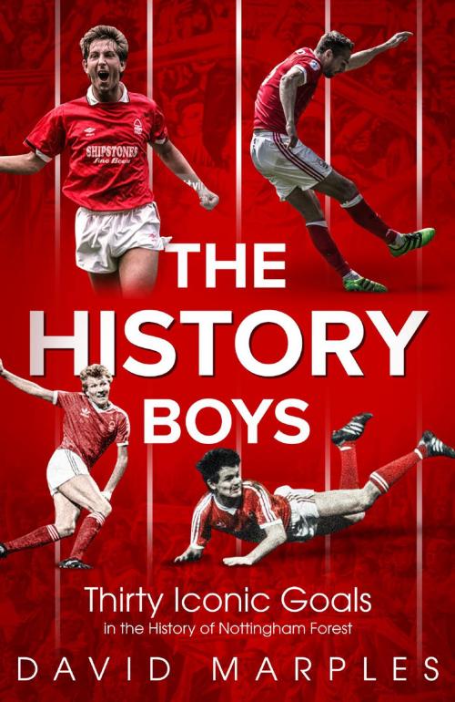 Cover of the book The History Boys by David Marples, Pitch Publishing
