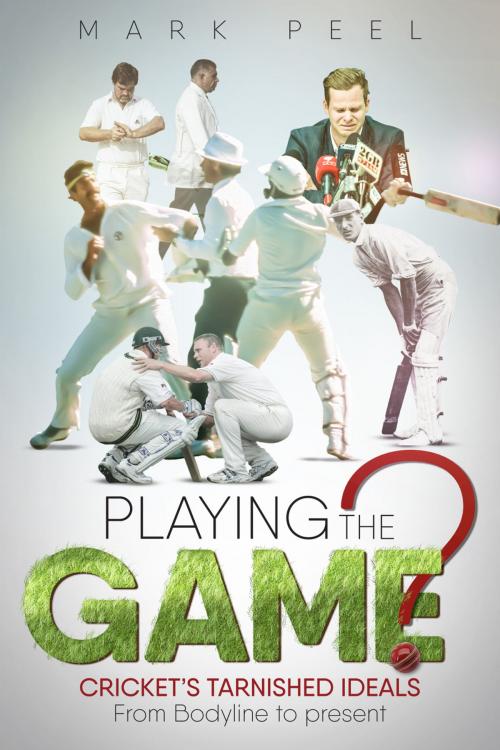 Cover of the book Playing the Game? by Mark Peel, Pitch Publishing
