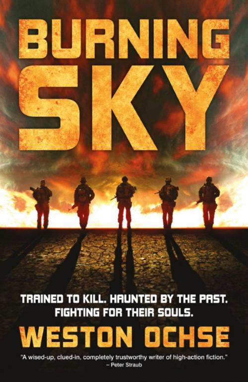 Cover of the book Burning Sky by Weston Ochse, Rebellion Publishing Ltd