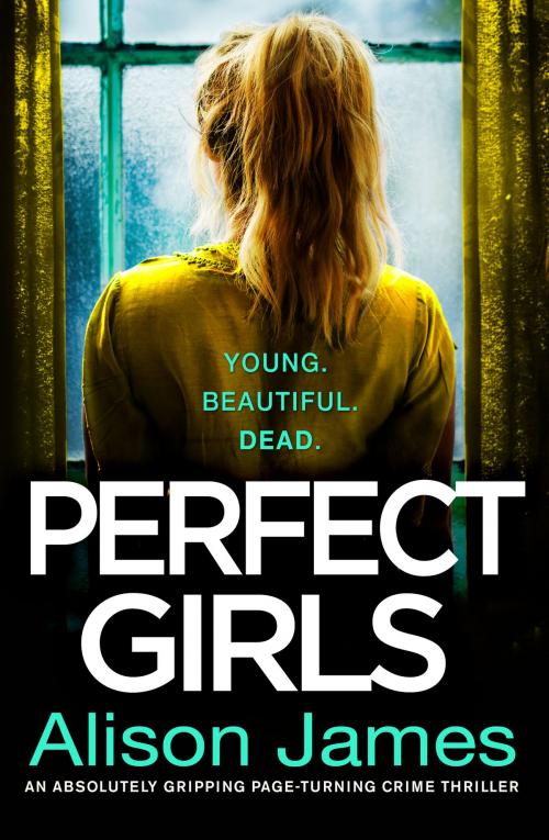 Cover of the book Perfect Girls by Alison James, Bookouture