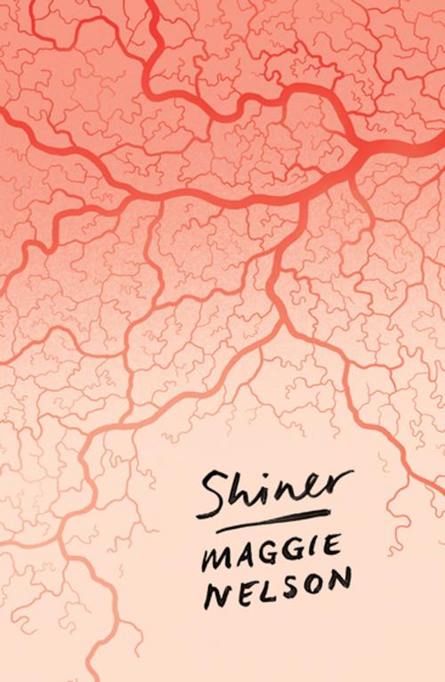 Cover of the book Shiner by Maggie Nelson, Zed Books