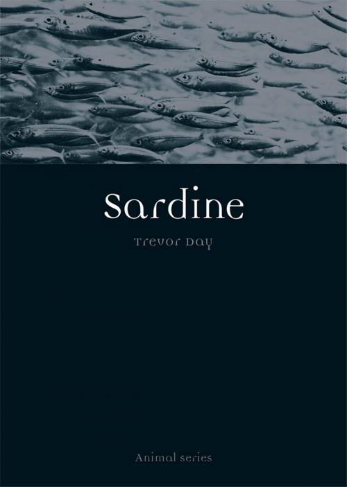 Cover of the book Sardine by Trevor Day, Reaktion Books