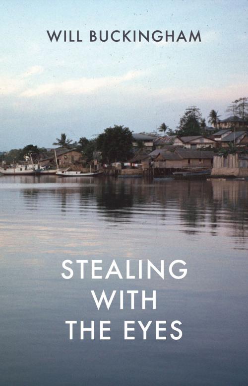 Cover of the book Stealing with the Eyes by Will Buckingham, Haus Publishing