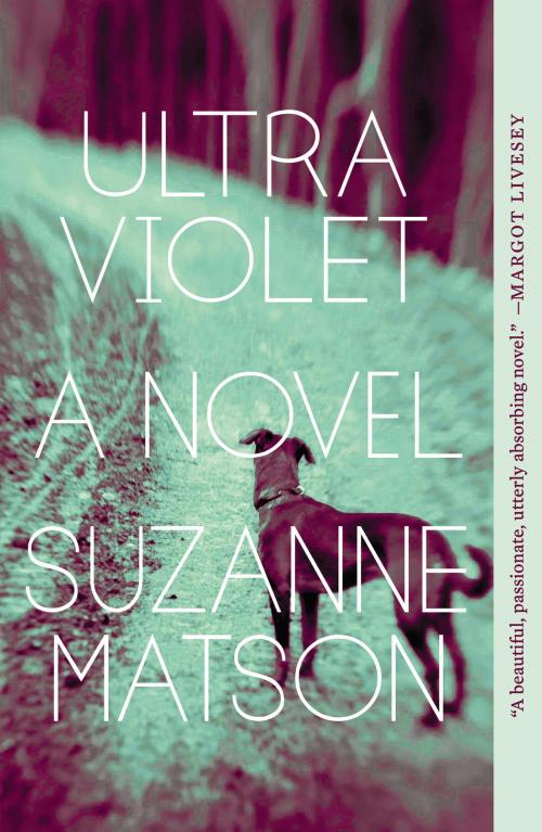 Cover of the book Ultraviolet by Suzanne Matson, Catapult