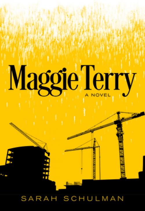 Cover of the book Maggie Terry by Sarah Schulman, The Feminist Press at CUNY