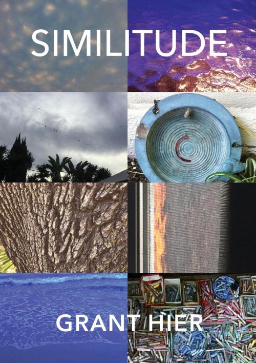 Cover of the book Similitude by Grant Hier, Pelekinesis