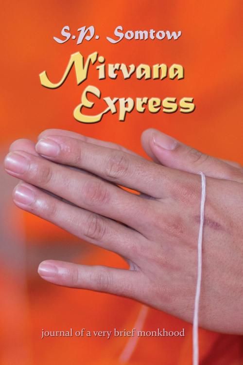 Cover of the book Nirvana Express by S.P. Somtow, Diplodocus Press