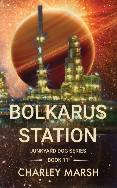 Cover of the book Bolkarus Station by Charley Marsh, Timberdoodle Press