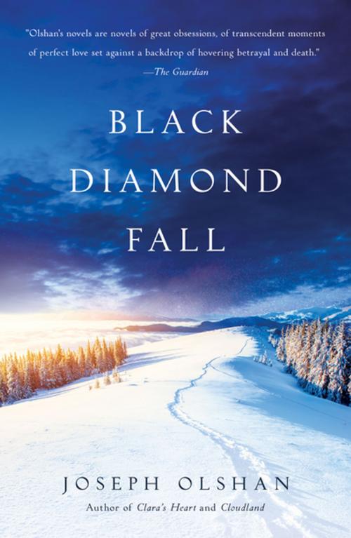 Cover of the book Black Diamond Fall by Joseph Olshan, Polis Books