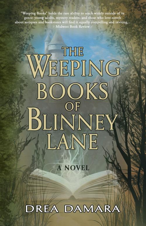 Cover of the book The Weeping Books of Blinney Lane by Drea Damara, BHC Press