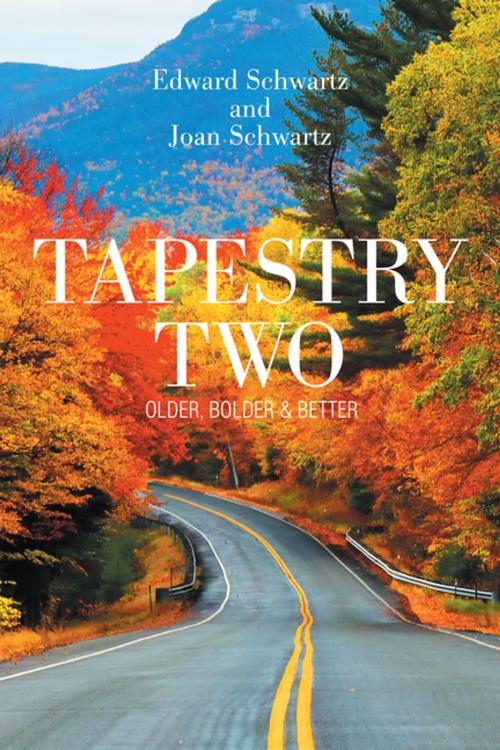 Cover of the book Tapestry Two by Edward Schwartz, Joan Schwartz, Xlibris US
