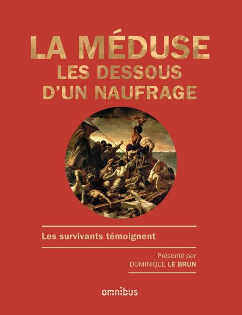 Cover of the book La Méduse by Dominique LE BRUN, Place des éditeurs