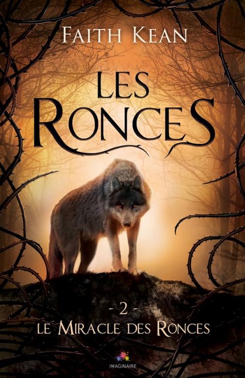 Cover of the book Le Miracle des Ronces by Faith Kean, MxM Bookmark