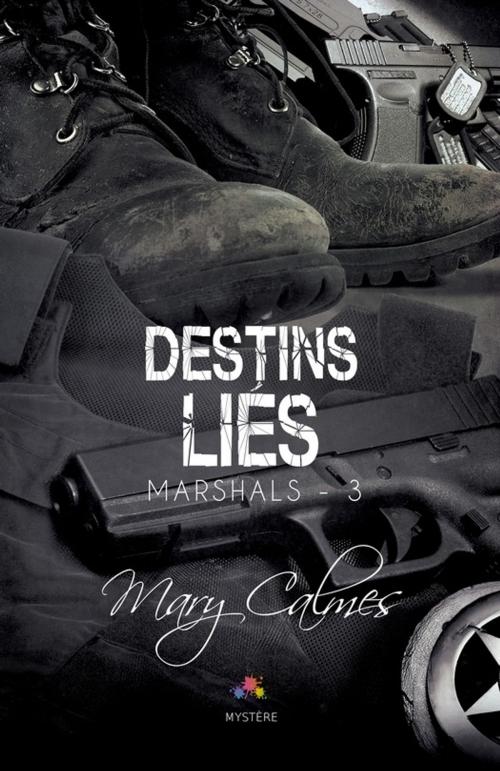 Cover of the book Destins Liés by Mary Calmes, MxM Bookmark