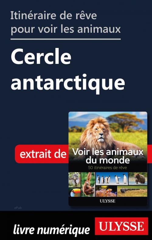 Cover of the book Itinéraire de rêve pour voir les animaux Cercle antarctique by Ariane Arpin-Delorme, Guides de voyage Ulysse